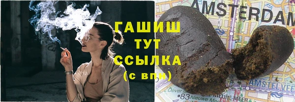 дмт Алексин
