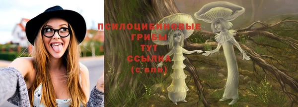 дмт Алексин