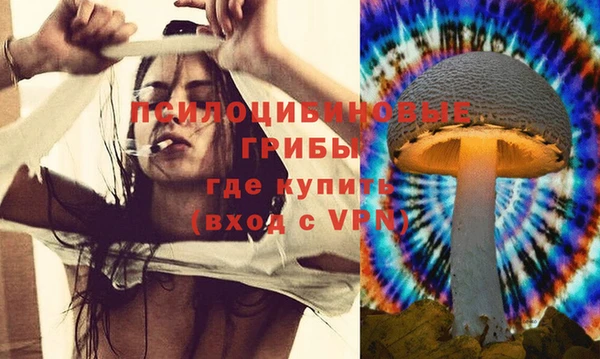 дмт Алексин