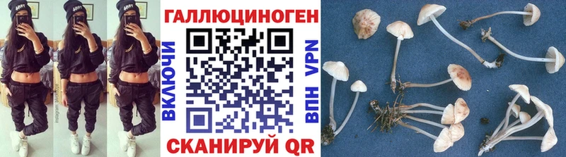 omg ссылки  Печоры  Псилоцибиновые грибы прущие грибы 